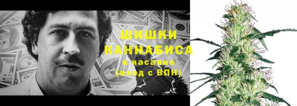 индика Верхнеуральск